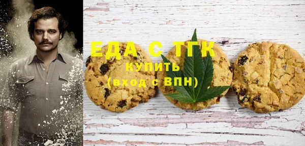 индика Алзамай