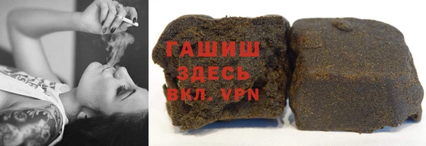 индика Алзамай