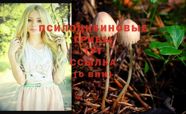 2c-b Алексин