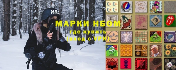 индика Алзамай