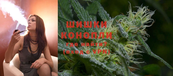 индика Алзамай