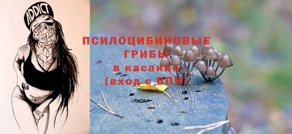 2c-b Алексин